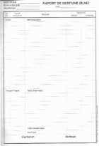 Raport de gestiune zilnic A4