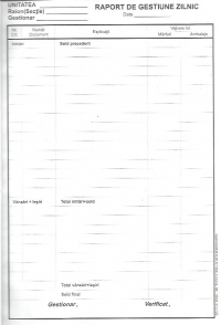 Raport de gestiune zilnic A4