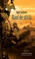 Raul de sticla