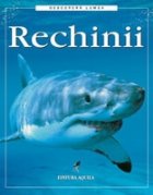 Rechinii Rechinii