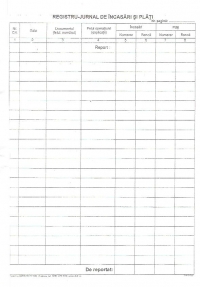 Registru - Jurnal de Incasari si Plati