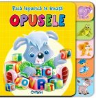 Rica Iepurica te invata OPUSELE