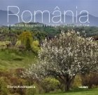 Romania amintire fotografica regard photographique