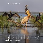 Romania : Delta Dunării,the Danube Delta