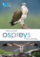 RSPB Spotlight Ospreys