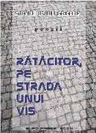 Rătăcitor strada unui vis poezii