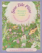 Sase zile pline Minunanta poveste