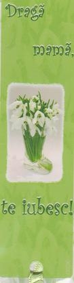 Semn de carte Draga mama, te iubesc!