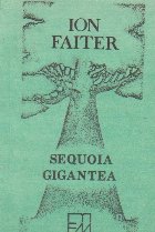 Sequioa gigantea
