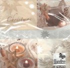 Servetele Motive Craciun (Set 20 buc.)