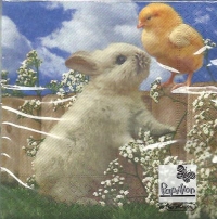 Servetele de Paste - Iepuras si pui (Set 20 buc.)