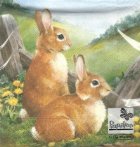 Servetele de Paste - Iepurasi pe camp (Set 20 buc.)
