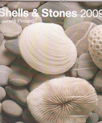 Shells and Stones 2009