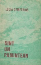 Sint un pamintean
