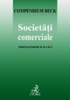 Societati comerciale Solutii profesionale