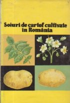 Soiuri de cartof cultivate in Romania