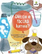 Solidele lichidele gazele şi plasma