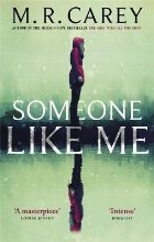 Someone Like