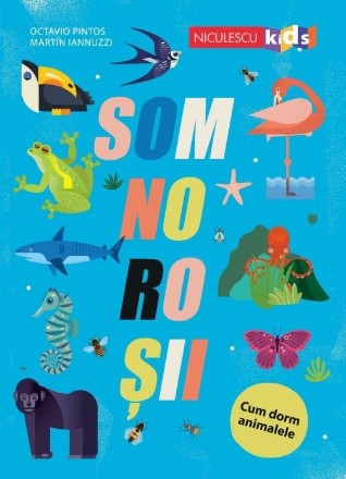 Somnoroşii : cum dorm animalele