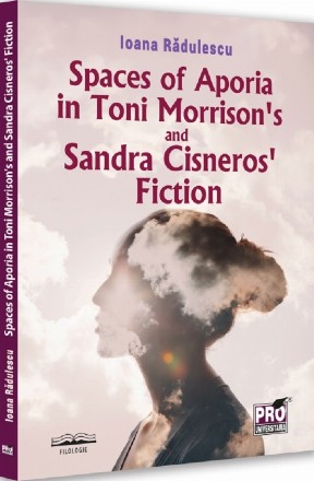 Spaces of aporia in Toni Morrison's and Sandra Cisneros' fiction