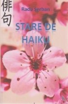 Stare haiku Reflectii calme esente