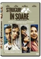 coperta Struguri in soare