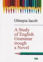 A Study of English Grammar through a Novel