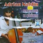 Sub cer ros la rasaritu