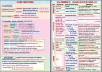 Substantivul /Cazurile substantivului (duo)