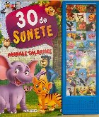 sunete