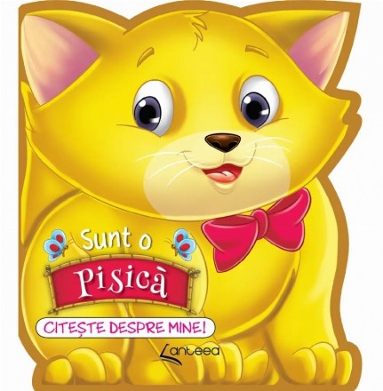 Sunt o pisicuţă : citeşte mai mult despre mine