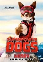 Superpower Dogs: Henry