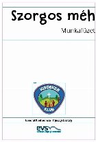Szorgos méh munkafüzet