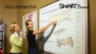 Tabla interactiva SMART BOARD-SB640