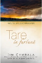 Tare in furtuna. Raspunsuri lui Isus la problemele tale