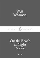 On the Beach at Night Alone