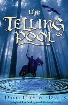 The Telling Pool