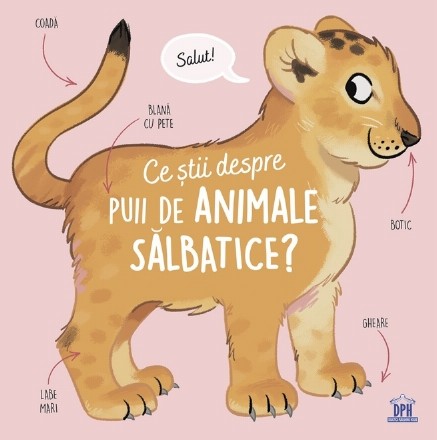 Ce ştii despre puii de animale sălbatice?