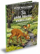 Ştii unde trăiesc animalele? : o expediţie prin pădure şi la câmpie