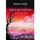 Times, on The Run. A detective novel