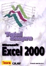 Totul despre Microsoft Excel 2000