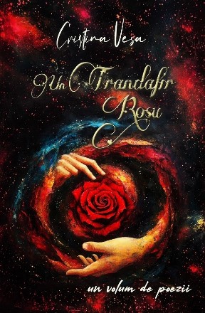Un trandafir roşu