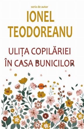 Uliţa copilăriei în casa bunicilor