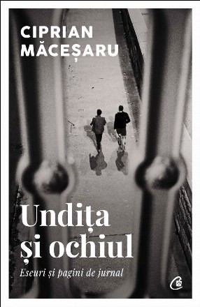 Undiţa şi ochiul : eseuri şi pagini de jurnal
