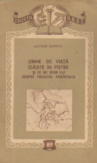 Urme de viata gasite in pietre si ce ne spun ele despre trecutul Pamintului