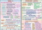 Verbul (1) /Vocabularul (Lexicul) (duo)
