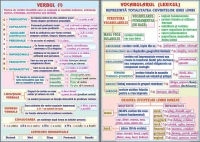 Verbul (1) /Vocabularul (Lexicul) (duo)