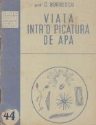 Viata intr\'o picatura de apa