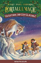 Vrăjitorul din Era Glaciară. Portalul Magic nr. 7
