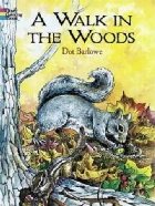 Walk in the Woods Coloring Book